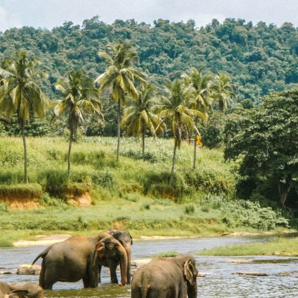 PMJAY Hospitals in Krishnagiri | Ayushman Bharat Tamil Nadu&nbsp;List