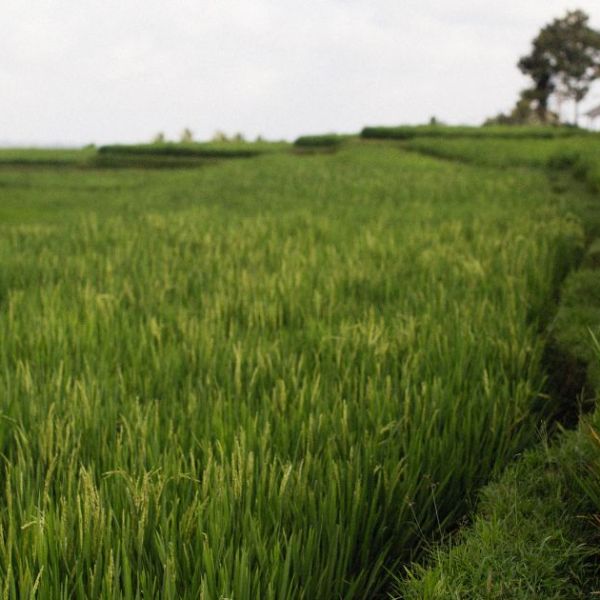 PMJAY Hospitals in Ariyalur | Ayushman Bharat Tamil Nadu&nbsp;List