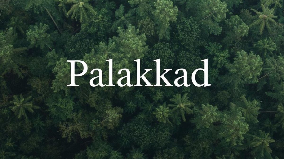 PMJAY Hospital List in Palakkad – Ayushman Bharat Health Insurance Network&nbsp;Hospitals